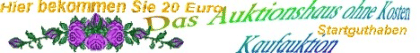 Eines der schönsten Auktionshäuser in Deutschland jetzt kostenlos