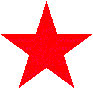 STERN UMZÜGE - NRW