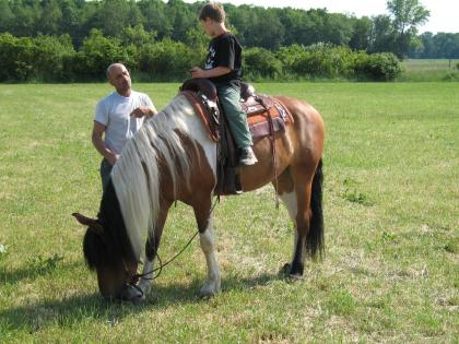 Reiten für Kinder ältere Reitanfänger und Wiedereinsteiger