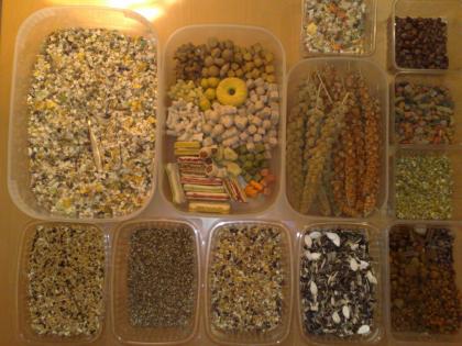 Gesunde perfekt ernährte Futtermäuse keine Pellets u. Makrolonbox Haltung Sond