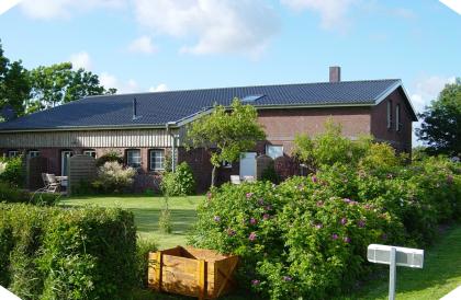 Nordsee-Ferien auf dem Junge-Hof