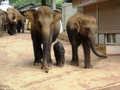 Sri Lanka 8 Tage Rundreise fuer2 Personen alles inklusive Euro 1200