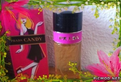 Prada Candy YSL Opium Chanel Nr. 5