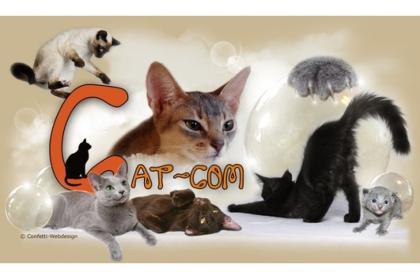 Die Cat-Com eine Gemeinschaft von Hobbyzüchtern informiert.