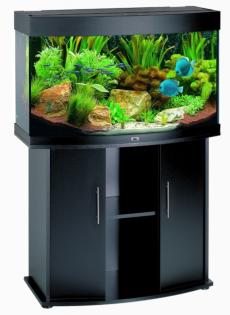 Komplettes Aquarium mit Fischen Pflanzen Zuberhör u. Deko