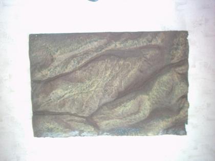 Terrarienrückwand 58x39 LxH