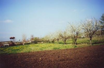 Farm zu verkaufen in Rumaenien