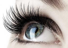 Wimpernverlängerung/Wimpernverdichtung in Fürstenfeldbruck Ammersee