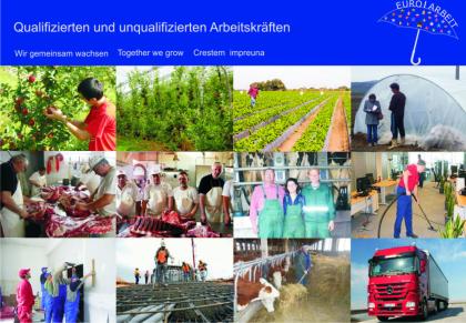 Mitarbeiter ab Sofort