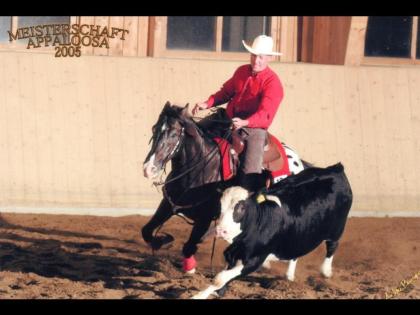Magi Kiss- European Champion Multiple World Show Qualifier