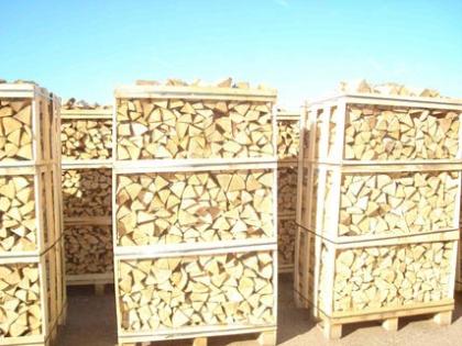 Suche Kaminholz 2 RM - 30 RM Buche Eiche Erle Birke usw.