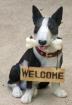Miniatur Bullterrier suche Mini Bullterrier