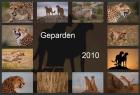 Geparden Kalender 2022