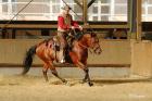 Bosal Mecate Bit Westernsattel Rope Sporen Halstuchringe etc.