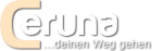 Ceruna schaut für DICH ins neue Jahr 2022