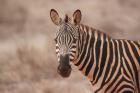 Urlaub in Kenia Traumreise für die ganze Familie